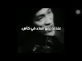 حكمة بروسلي كن مثل الماء يا صديقي