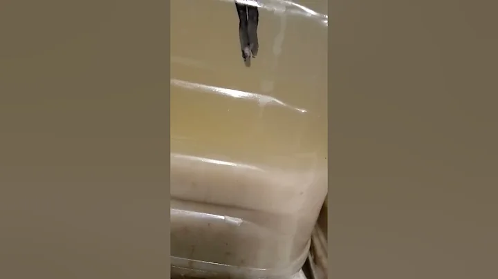 Using ultrasound for quicker fermentation. A test ...