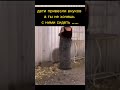 Дети привезли внуков, а ты не хочешь, #fail #fails #failsvideo #смех #угар #юмор #shortvideo #прикол