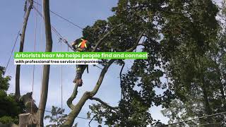 Milwaukee tree service and Arborists