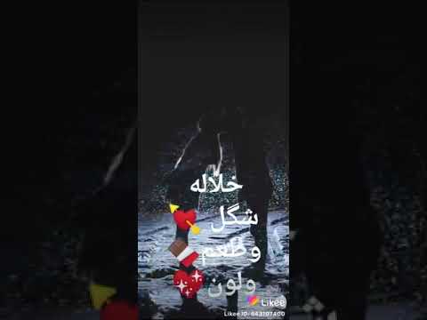 الحب غير معني الكون