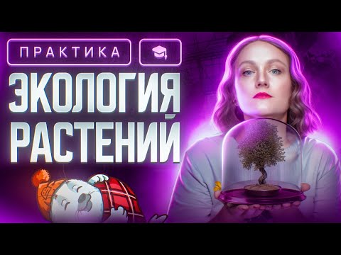 Видео: Экология растений | ЕГЭ-2024 по биологии