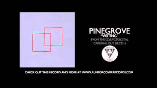 Watch Pinegrove Visiting video