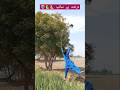 درخت پے سانپ 🐍🐍👽#wow #hunting #farmer #snake #magic #shorts #viralvideo