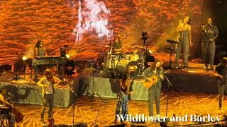 Hozier with Allison Russel “Wildflower and Barley” Forest Hills Stadium 6-5-2024