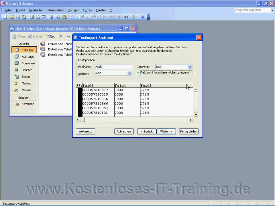 Access Daten importieren - YouTube