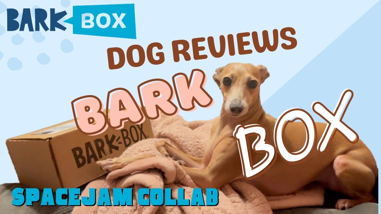 BarkBox  Unboxing Episode 4 | Italian Greyhound Reviews her BarkBox - Space Jam Collab | July 2021