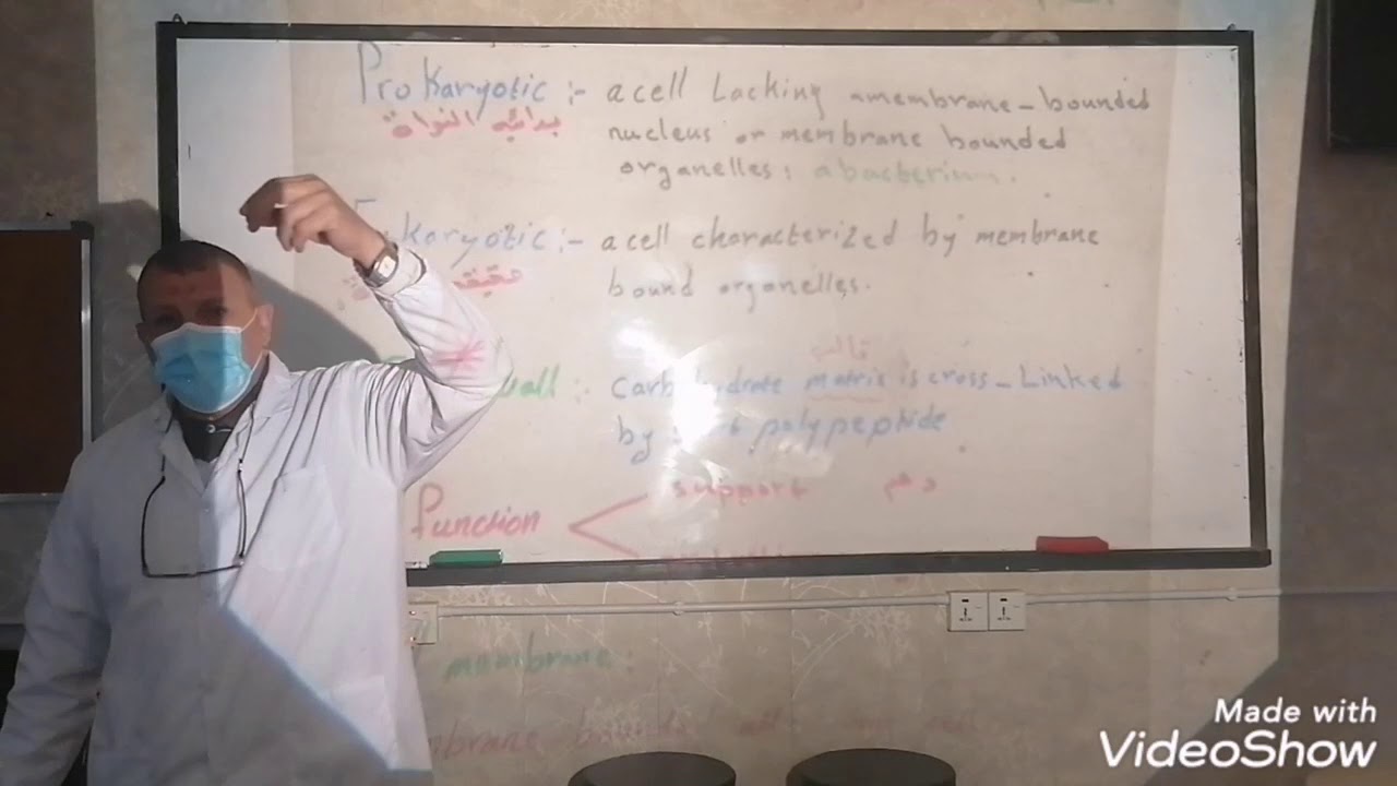 المحاضرة الثانية. نضري. الخلية