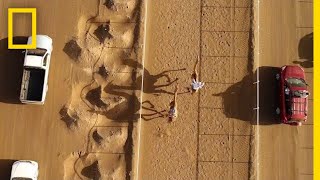 The Ancient Tradition of Camel Racing, as Seen From Above | National Geographic screenshot 5