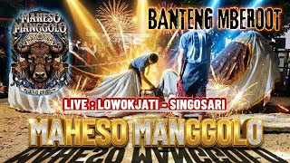 KALAPAN HOROR ‼️ MAHESO MANGGOLO TERBARU LIVE LOWOKJATI - SINGOSARI 
