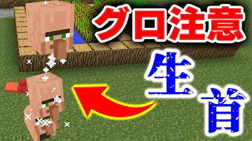 Mod紹介 グロ注意 村人をグチャグチャのミンチ