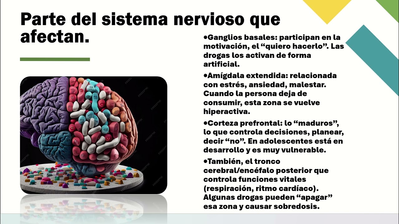 Prevención del consumo de drogas-Luis Vaal