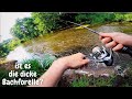 Angeln am Bach Forellenangeln am Bach Dropshot Ultralight Angeln Forelle Trout Fishing