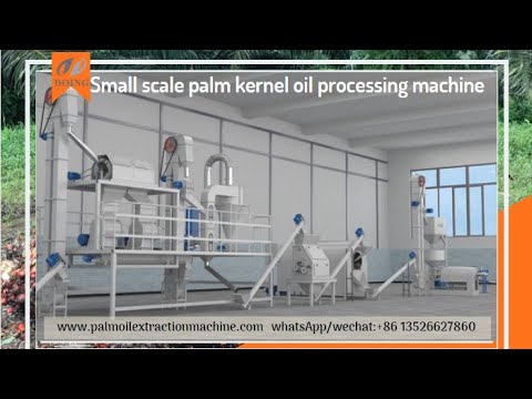 What machines are needed to extract palm kernel oil into vegetable