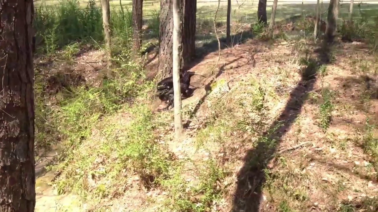 Kittredge Park Family Visit YouTube