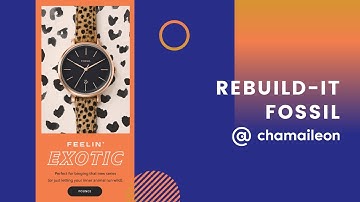 Rebuild-it | Design Fossil
