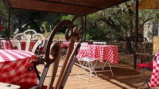 Summer Café Ambience ☕️ Relaxing Jazz Music, Cicadas and Birds Singing