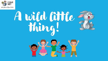 A Wild Little Thing I Grade 8 I FikarNot