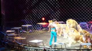 Tiger and Lion tamer