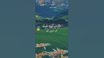تلاوة تفوق الخيال للشيخ سعود الشريم
