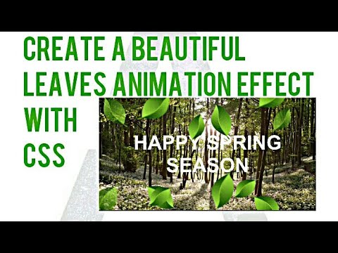 create a beautiful
