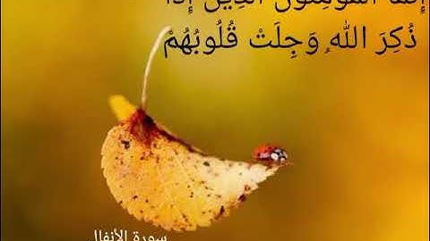 إنما المؤمنون الذين إذا ذُكر الله وجلت قلوبهم#تلاوة القاريء الشيخ#إدريس_أبكر من#سورة_الأنفال#