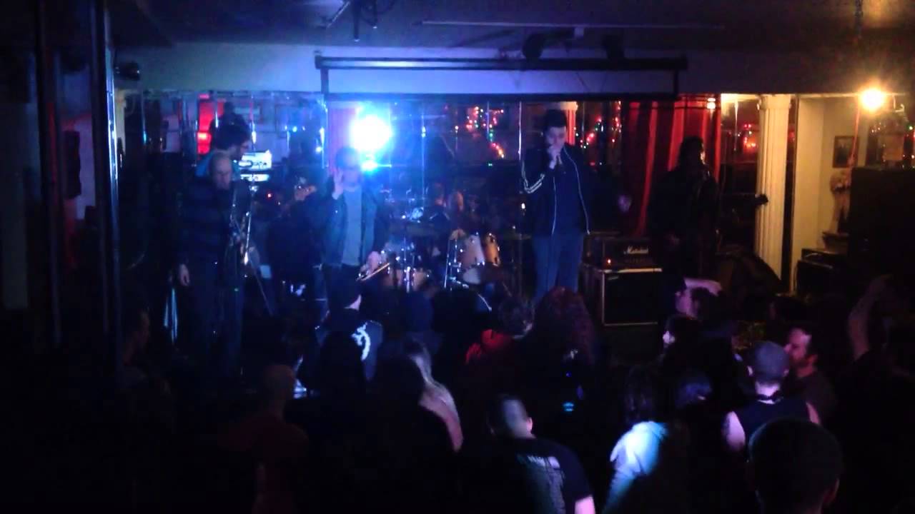 Mustard Plug The Beer Song YouTube