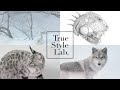 TrueStyleLab. Promotion Video