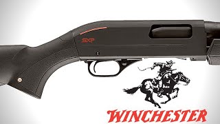Cleaning a Winchester SXP 12 gauge shotgun.