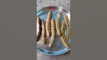 Kacha tetul diye chingri macher jhal #short video #Bengali cooking #youtube shorts