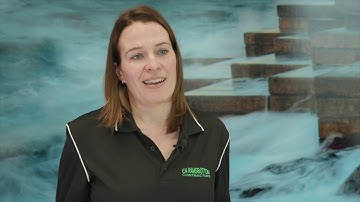 Case Study: Wellington Water