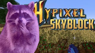 OMG! MAKING ACTUAL PROGRESS IN MINECRAFT HYPIXEL SKYBLOCK??