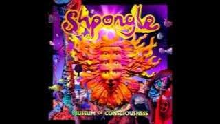 Shpongle - Museum Of Consciousness [FULL ALBUM]