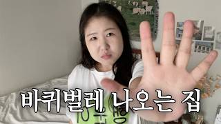 저의 40년 된 투룸 월세 자취집을 소개합니다 | 테무깡, 자취템 추천, 인테리어, 자취방 꾸미기