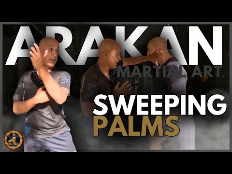 Learn Martial Art Sweeping Palms - Best martial art for self defence