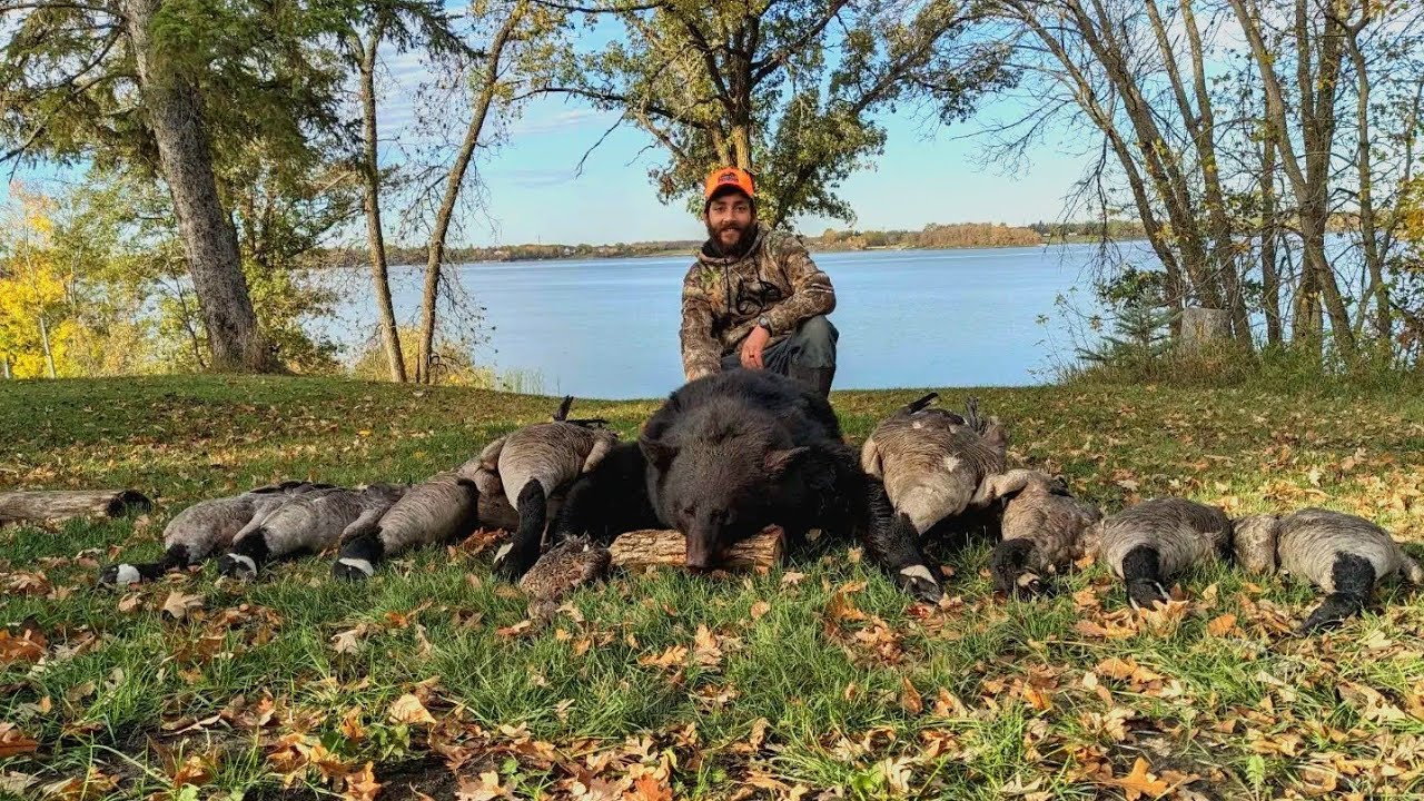 Goose Hunting SOLO ( Pine Falls, Manitoba )