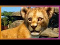 🦁 Beta Info & GamesCom Trailer Deep Dive | Planet Zoo Update