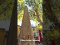 4 DOLPHINS in Saint-Rémy-de-Provence! 🐬🐬🐬🐬 #frenchmoments #provence #YouTubeHighFive