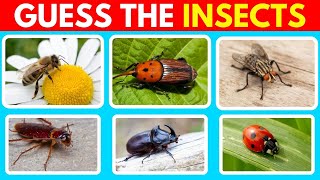 Guess the Insect By Their Image ( Part 1 )
