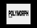 "POLYMORPH" VOL. 025 | Destroy Lonely, Ken Carson, Nettspend FREE LOOP PACK