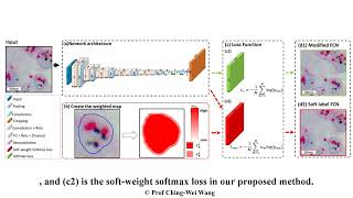 Soft Label Fully Convolutional Network in Application to Microscopic Image Analysis screenshot 2