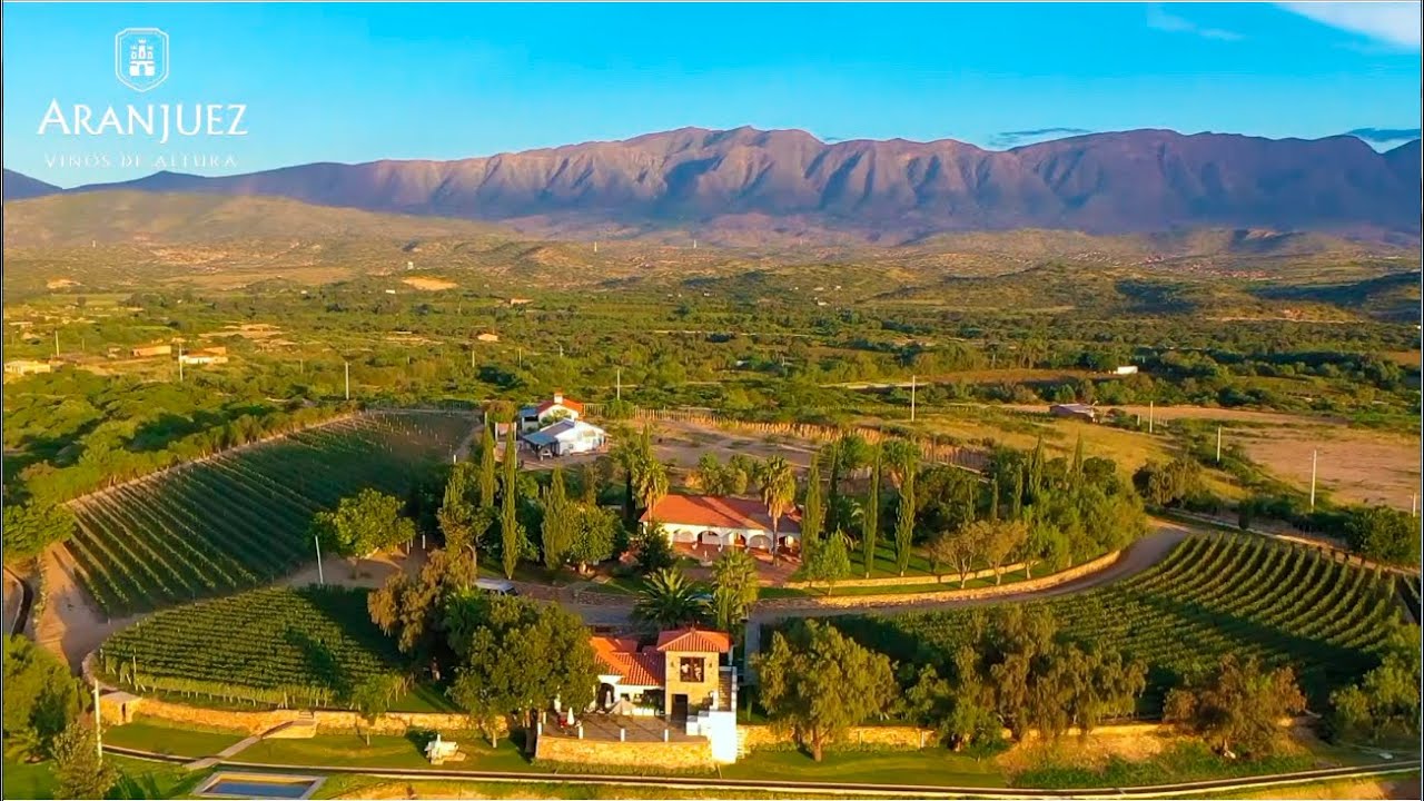 ARANJUEZ, VINOS DE ALTURA YouTube