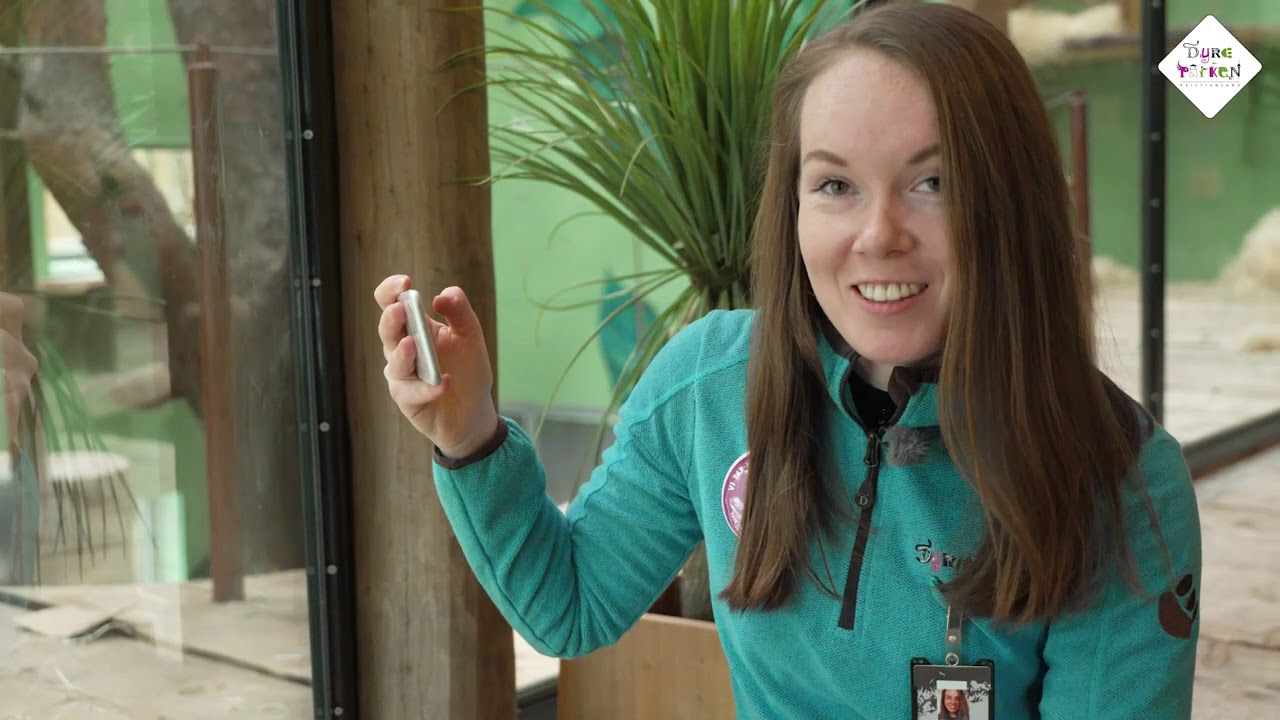 Ta bedre bilder! | Tips og triks | Dyreparken