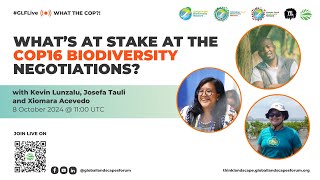 What the COP?! What’s at stake at the COP16 biodiversity negotiations?