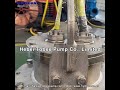 Hydroman® 316 SS Submersible Slurry Pump for Pumping Slurries from Acid Water Pool  #slurrypump