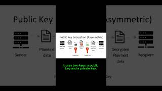 Encryption Explained in 60 Seconds #infosec #ethicalhacking #cybersecurity #techtips #onlinesafety