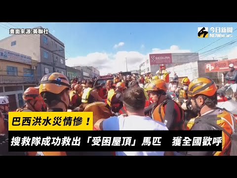 巴西洪水災情慘！搜救隊成功救出「受困屋頂」馬匹　獲全國歡呼｜NOWnews