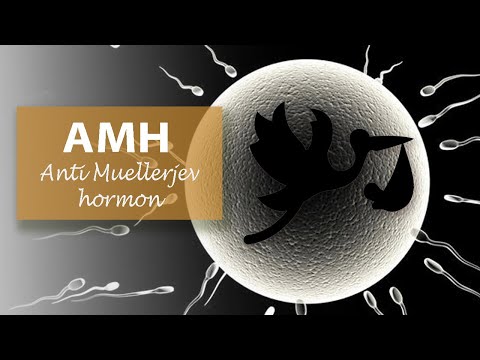 AMH - antimuellerjev hormon za ugotavljanje (ne)plodnosti #MojLaboratorij Medicare PLUS