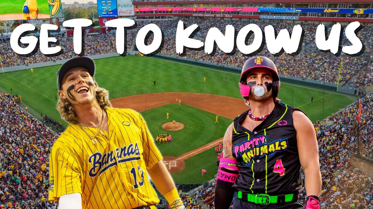 You asked.. WE ANSWERED. (Questions Vlog)