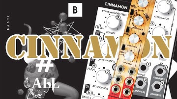 Bastl CINNAMON: VCF/VCO Quick Overview & Sound Demo #TTNM